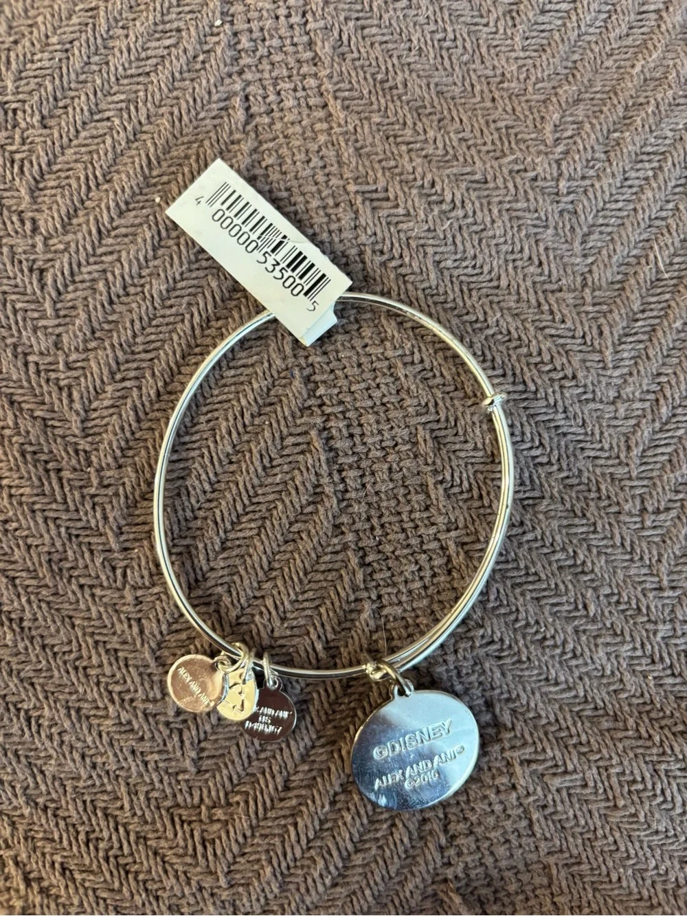 Alex and Ani Silver-tone Blue 'Believe in the Wish' Charm Bangle